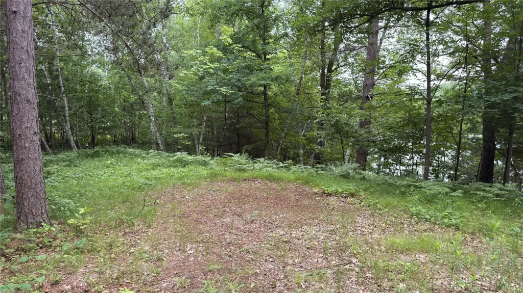 Picture 13
