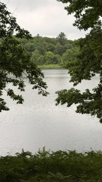 Picture 12