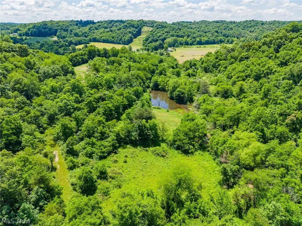 Picture 7