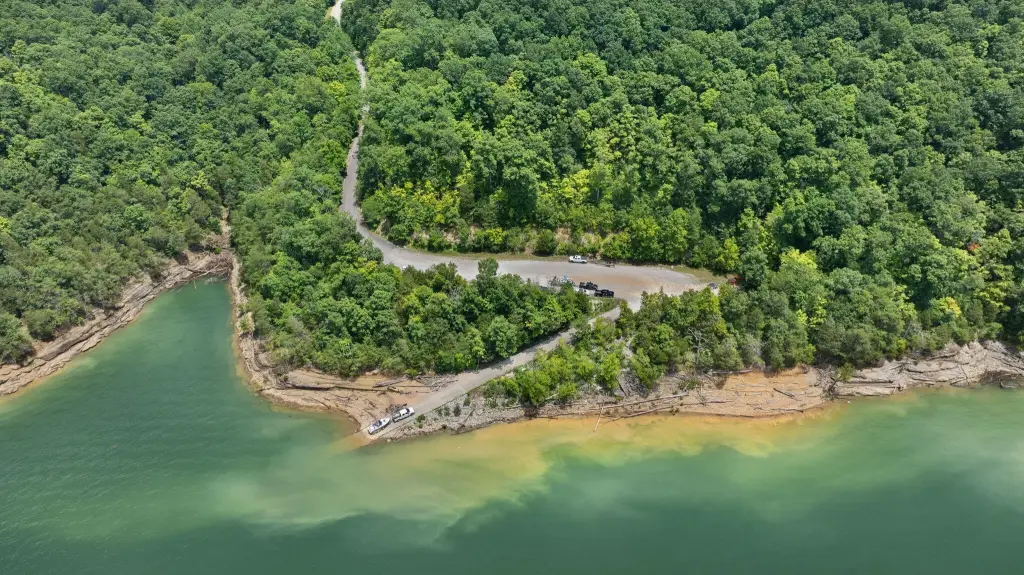 Picture 8