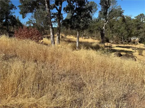 Clearlake Land/Lot For Sale