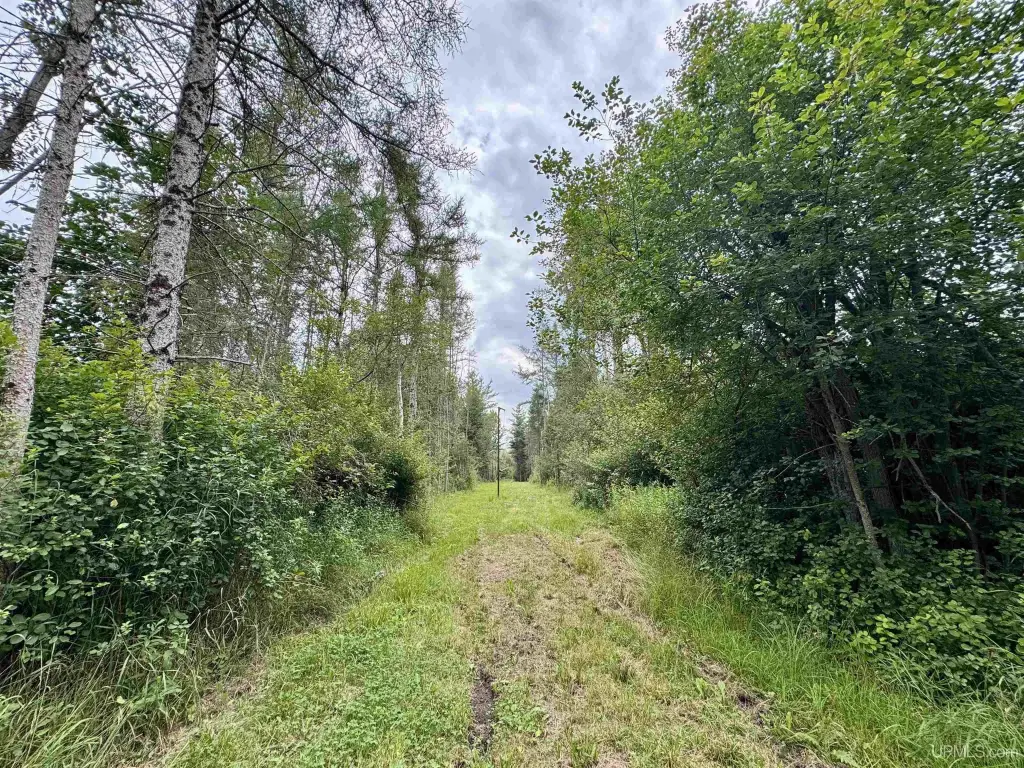 Picture 29