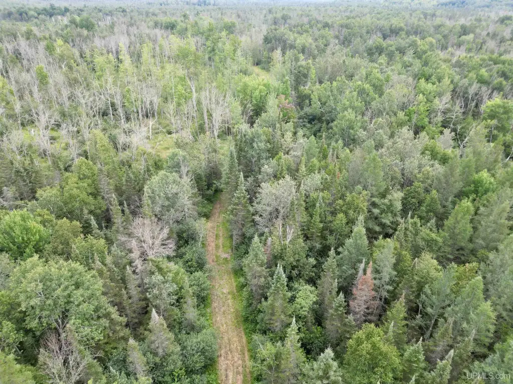 Picture 20