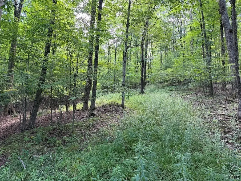 Picture 16