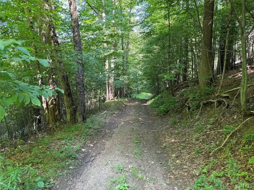 Picture 29