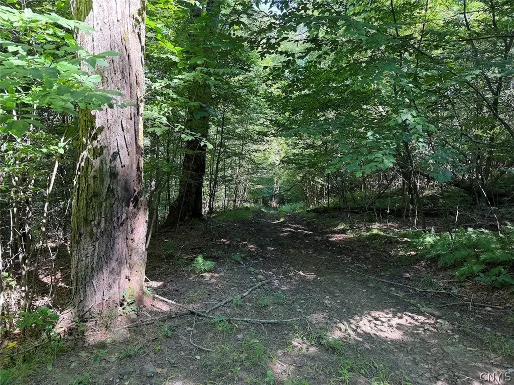 Picture 28