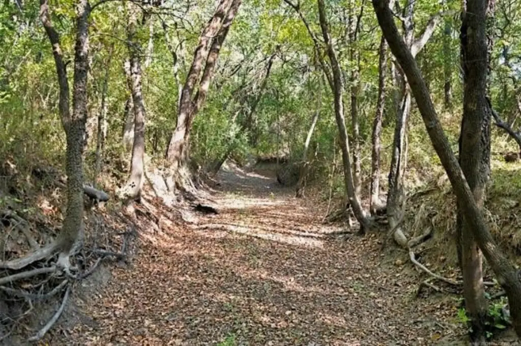 Picture 8