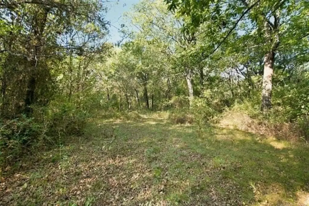 Picture 7