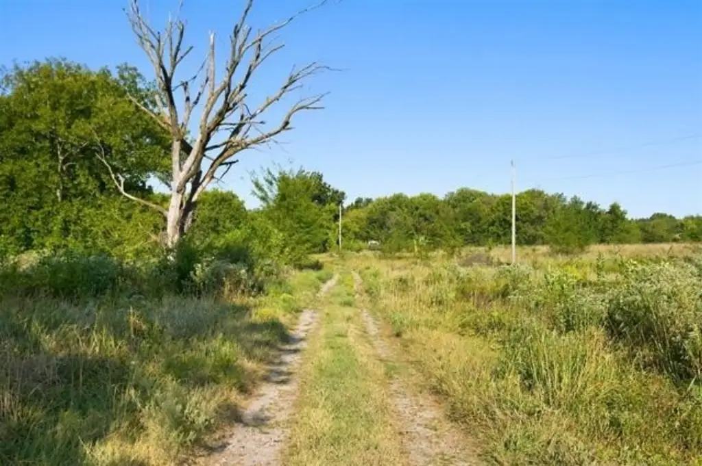 Picture 4
