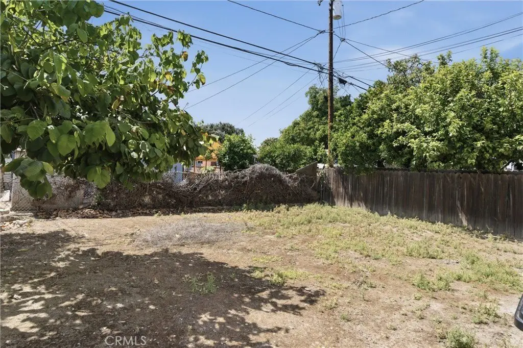 Picture 23