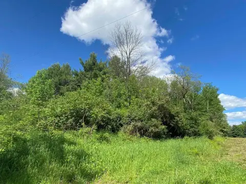 Wooded Land Near Greenwood Hills