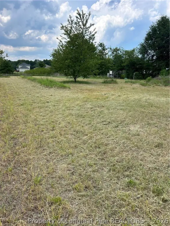 Picture 3
