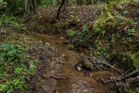 Dawsonville Vacant Residential Lot