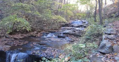 Ellijay Land with Mountain Views