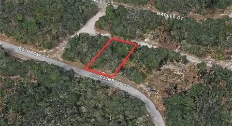 Buildable Lot in Poinciana Village