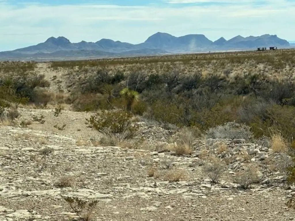 Picture 4