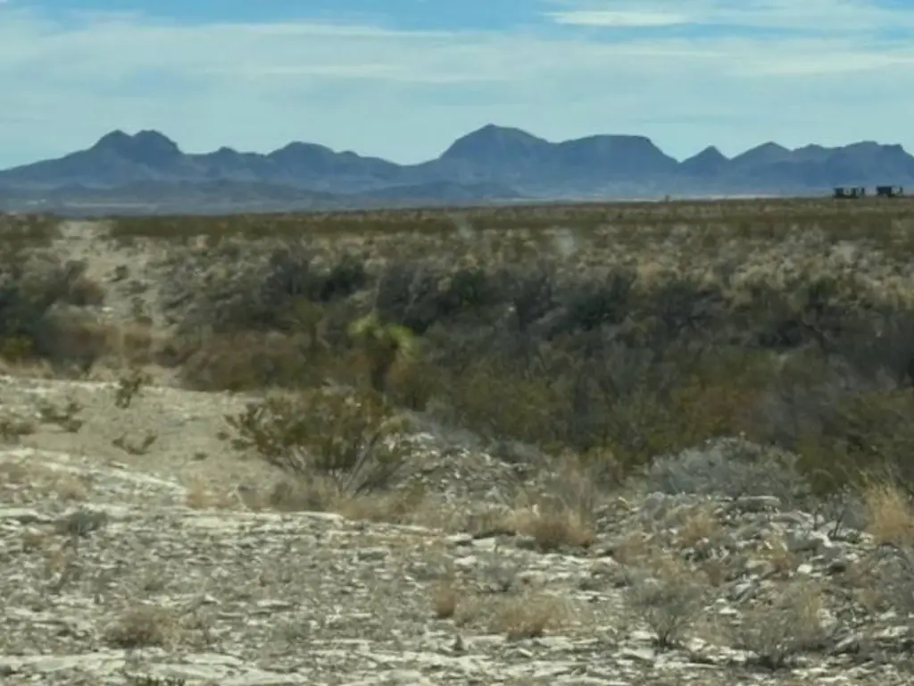 Picture 8