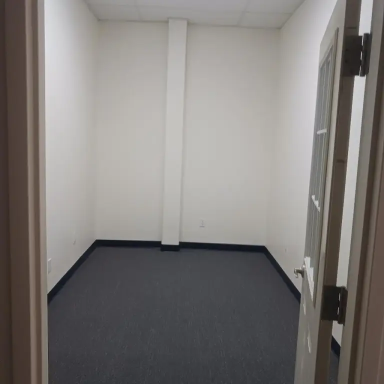 Picture 15