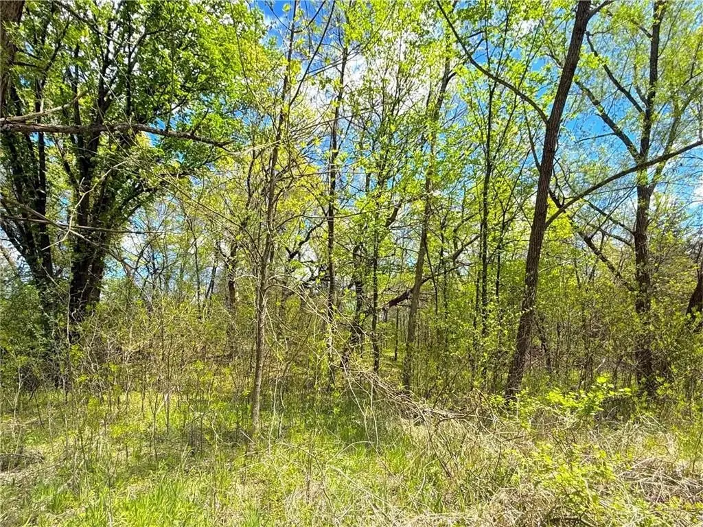 Picture 15