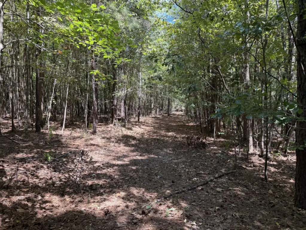 Picture 19