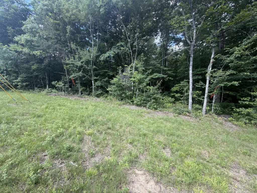 Picture 2