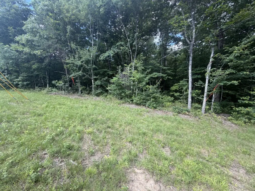 Picture 3
