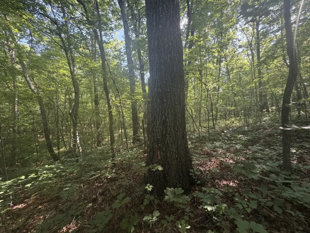 Picture 14