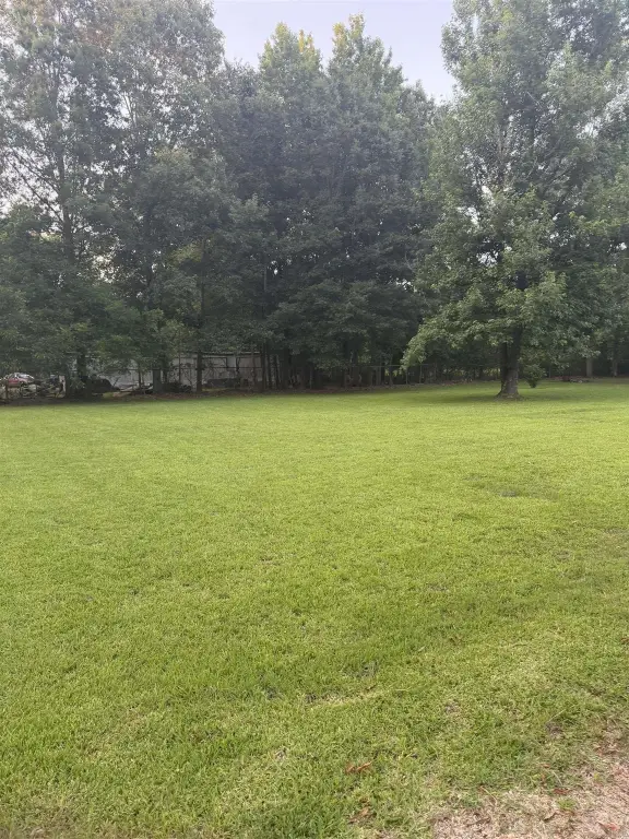 Picture 23