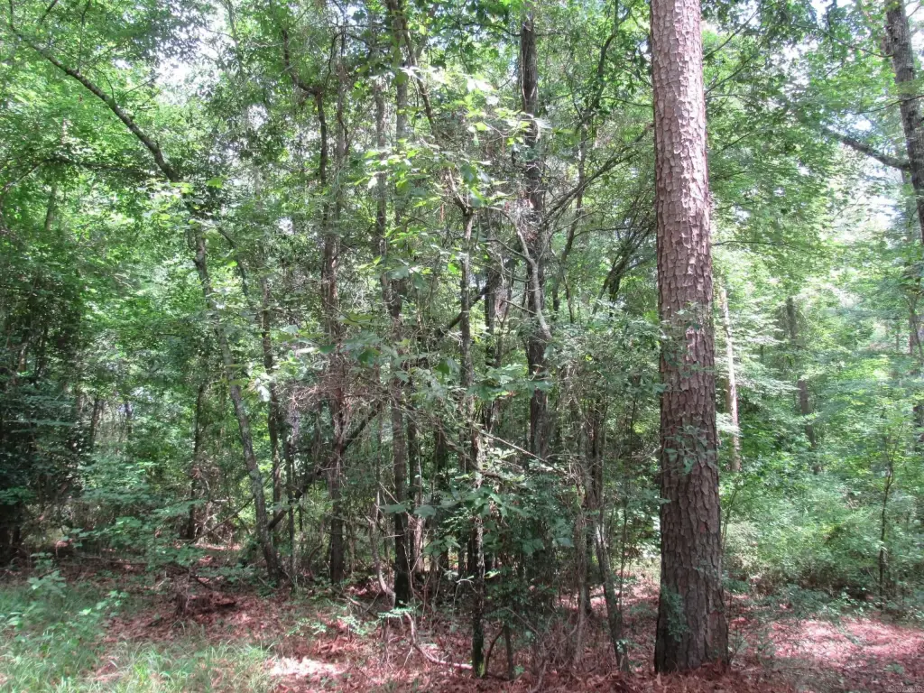 Picture 28