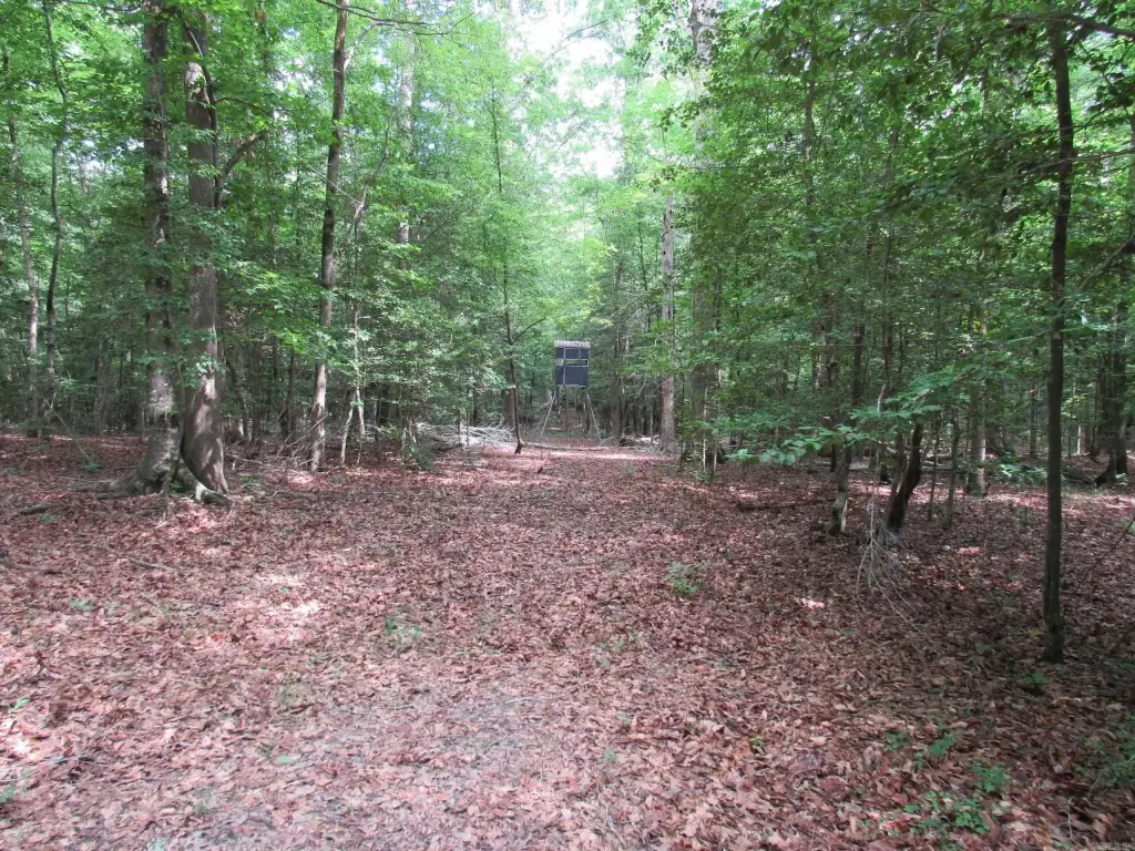 Picture 46