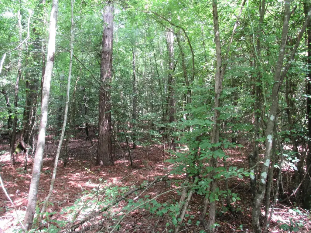 Picture 36