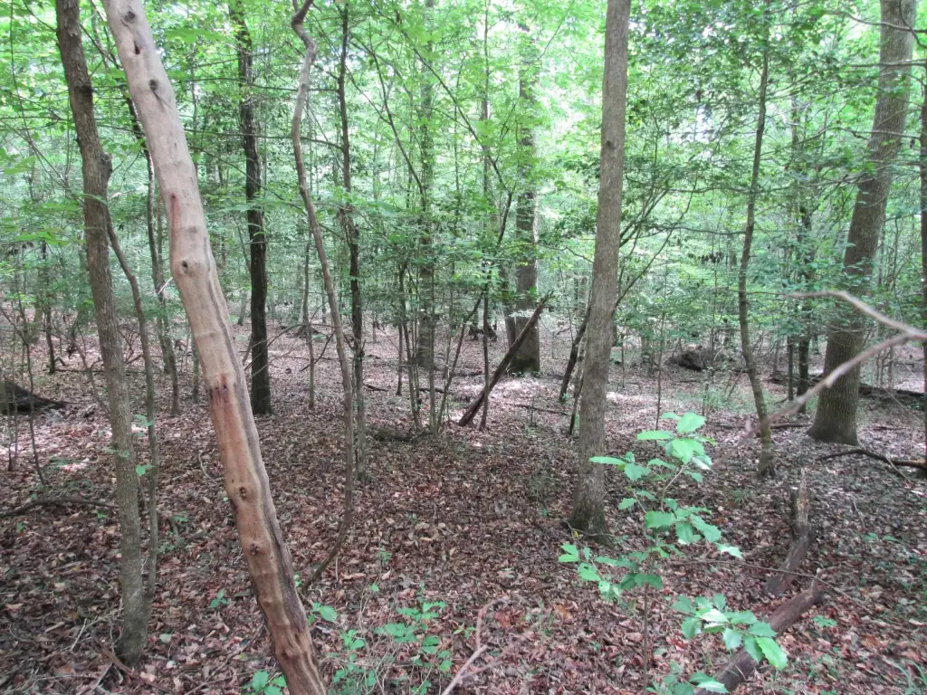 Picture 43
