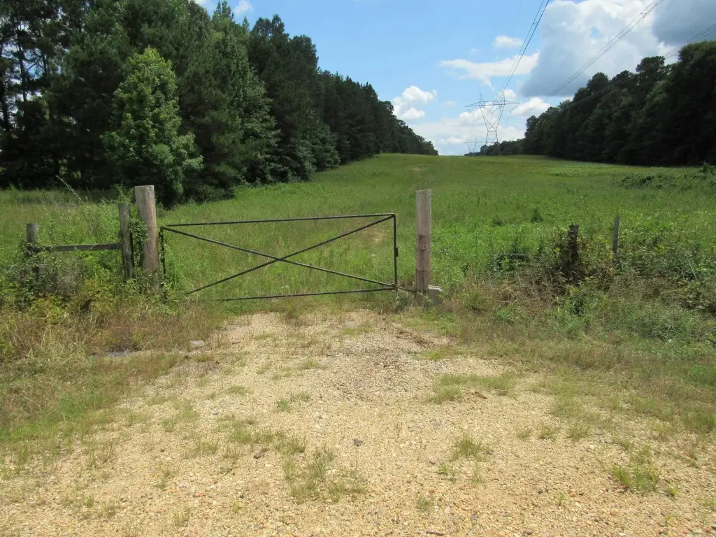 Picture 22