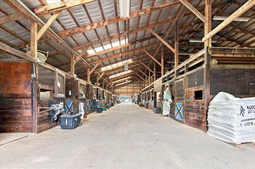 Picture 23