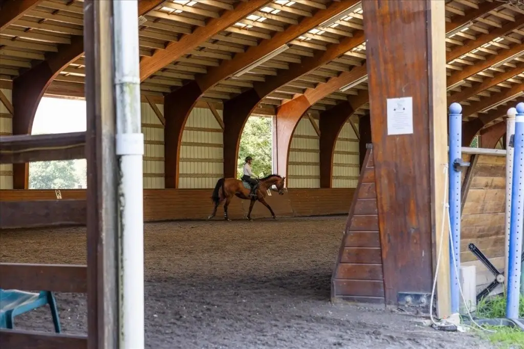 Picture 17