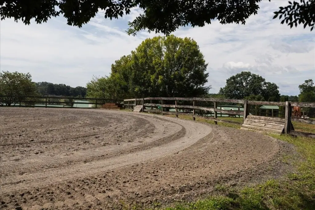 Picture 39