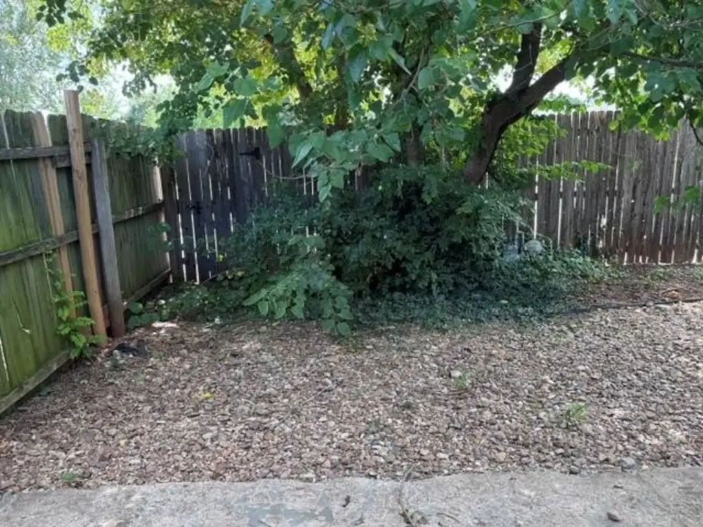 Picture 26