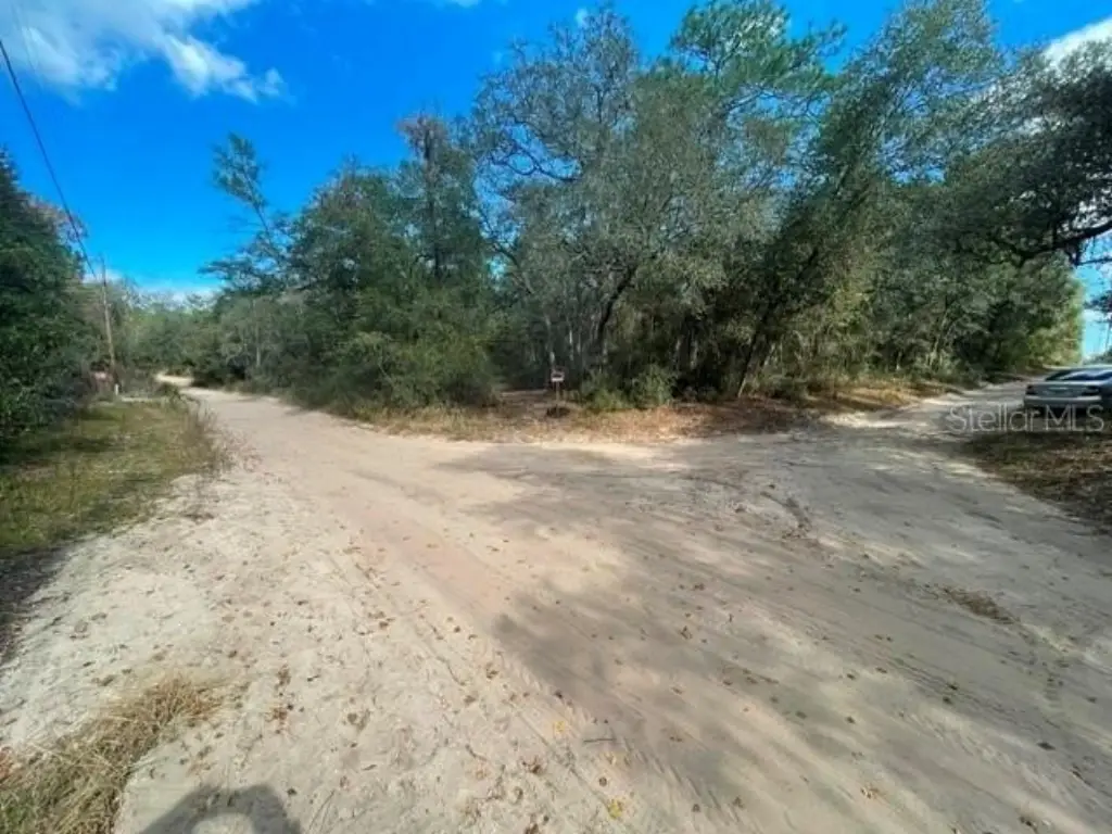 Picture 3