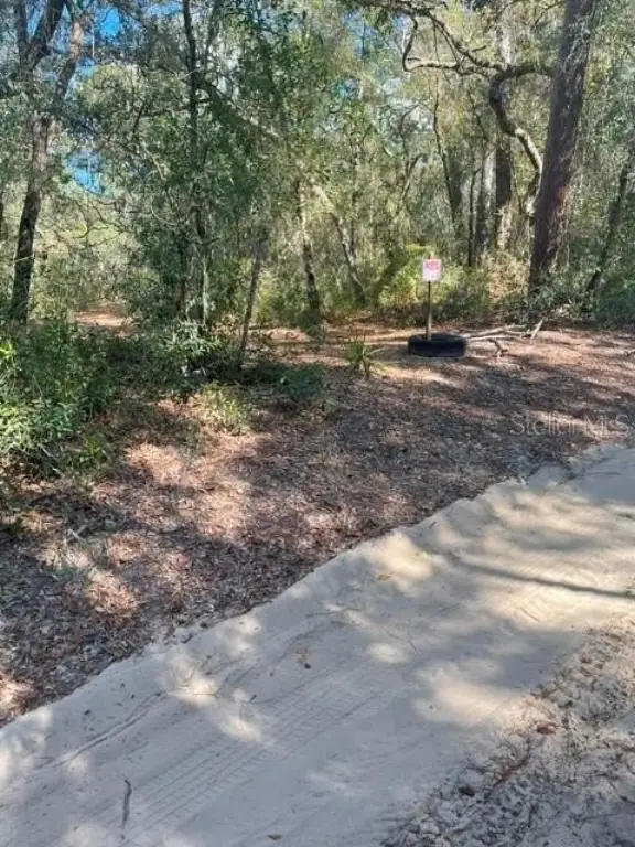 Picture 5