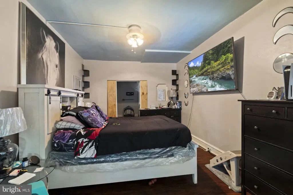 Picture 3