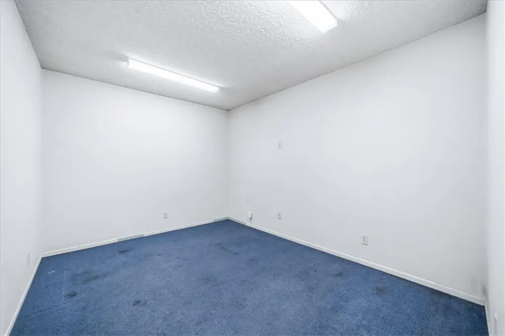 Picture 25