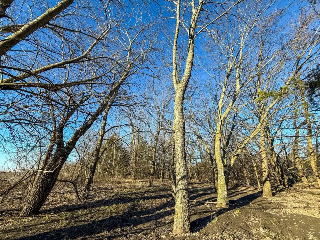 Picture 22