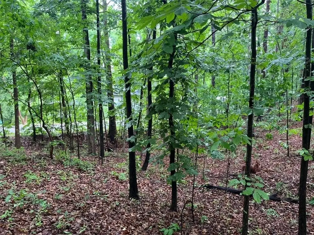 Picture 4