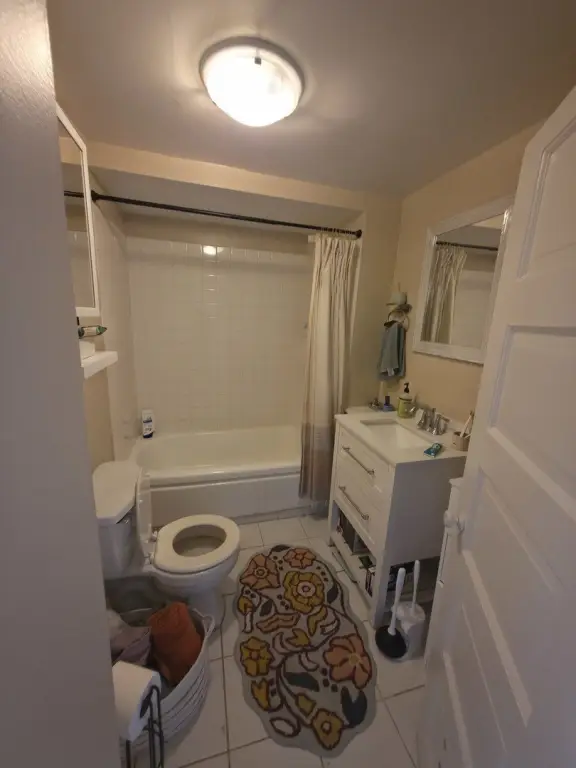 Picture 12