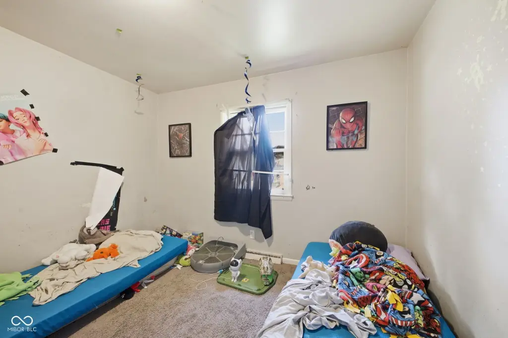 Picture 12
