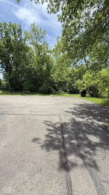 Picture 6