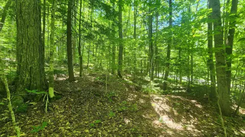 Vermont Land Parcel Ready to Build
