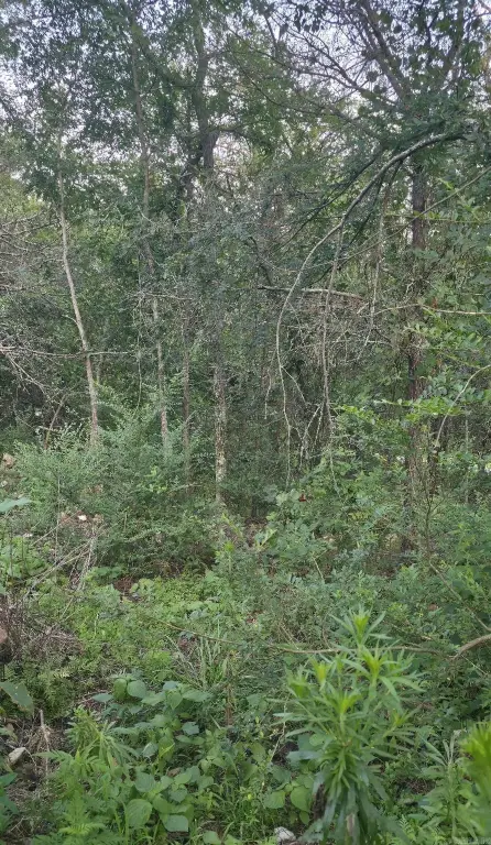 Picture 3