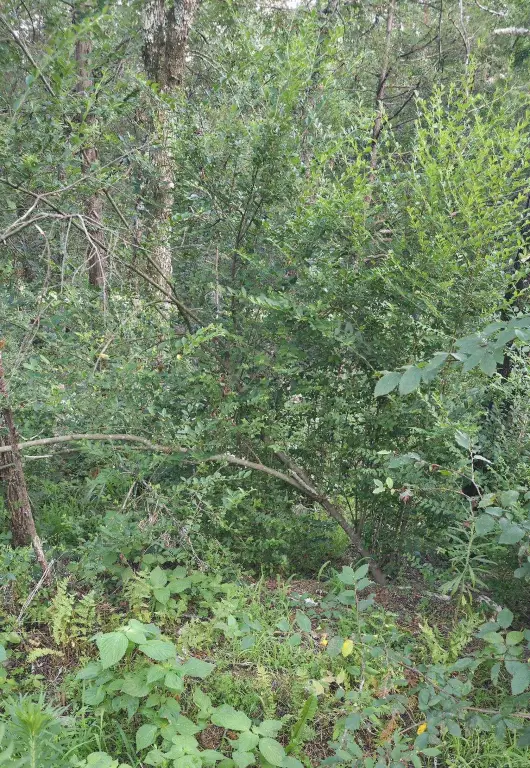 Picture 4