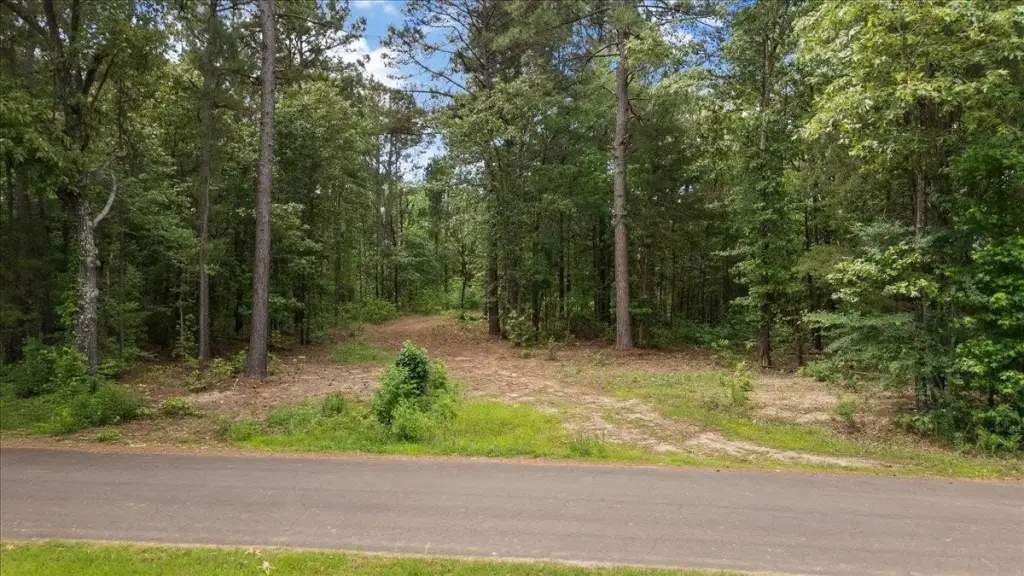 Picture 21